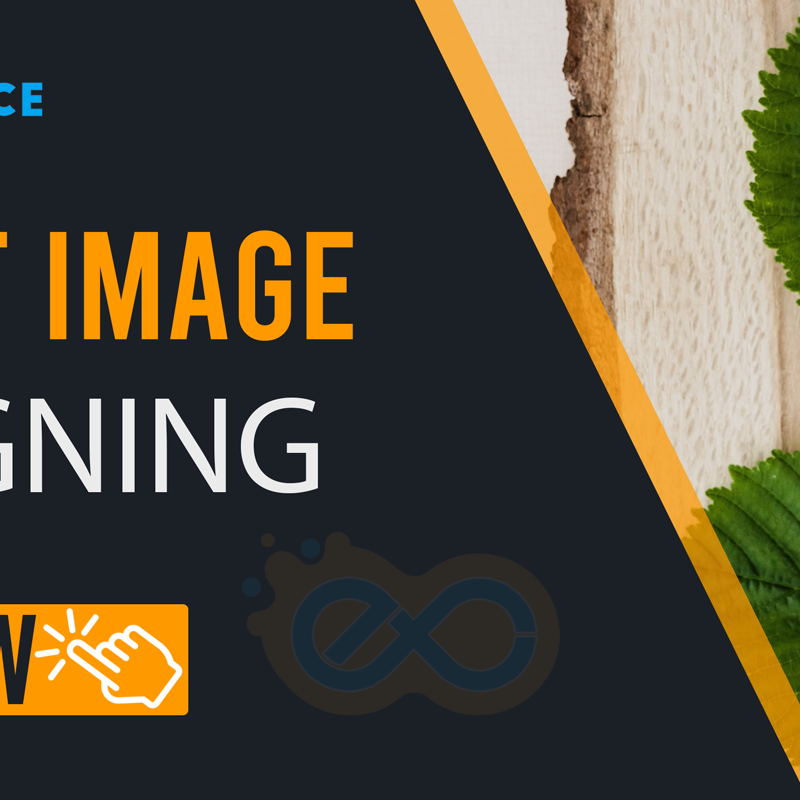 Amazon Product Image Designing Full Compliance
